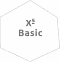 X5 Basic